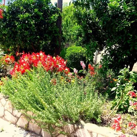 Galini And Penthouse *